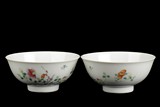 A PAIR (2) OF CHINESE DOUCAI STYLE BOWLS
