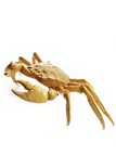 A HUANGYANGMU CARVED CRAB 