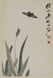 QI BAISHI: COLOR AND INK ON PAPER 'ORCHIDS & BUTTERFLIES'